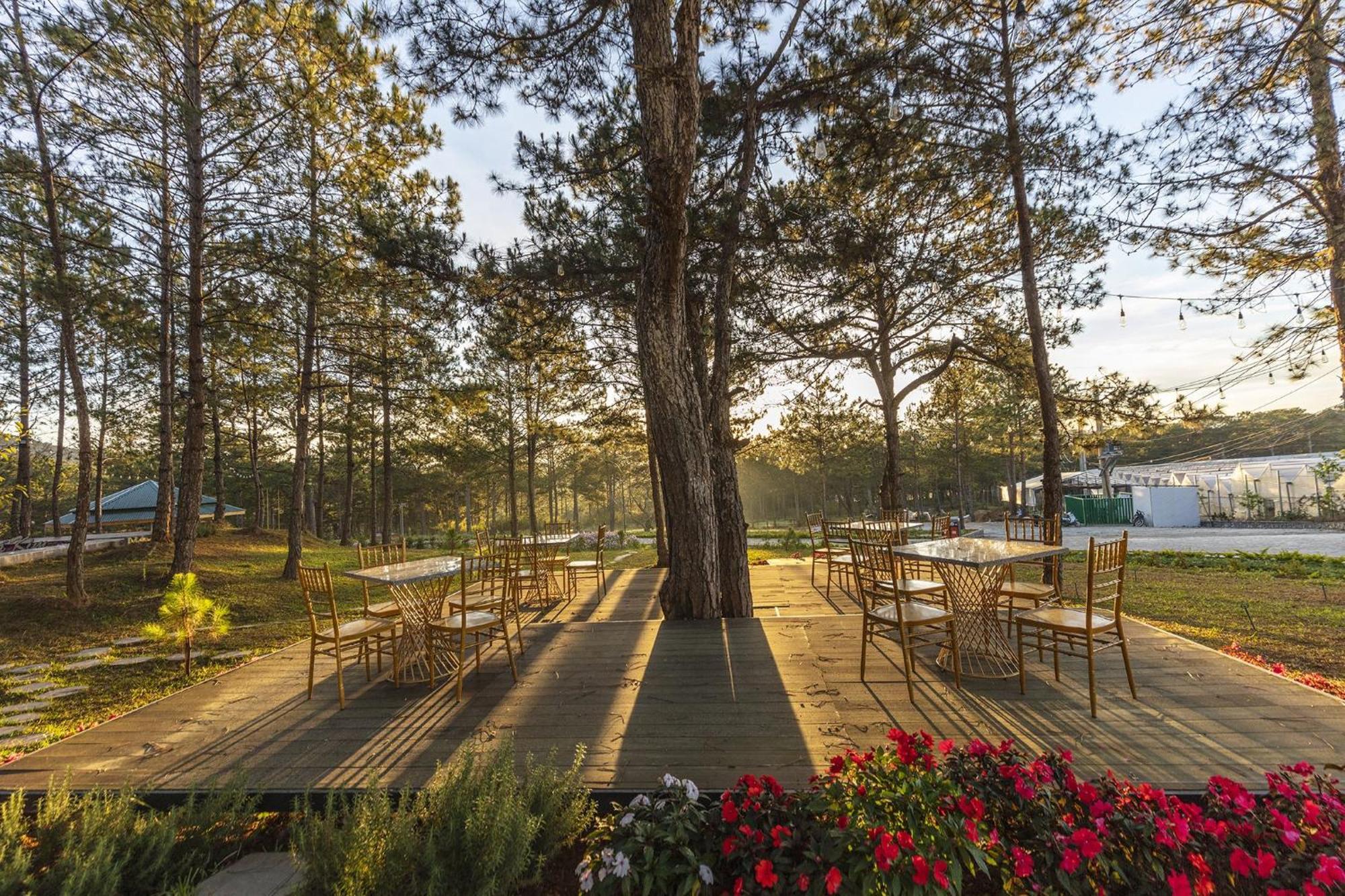 Kim Resort - Khu Nghi Duong Rung La Kim ダラット エクステリア 写真