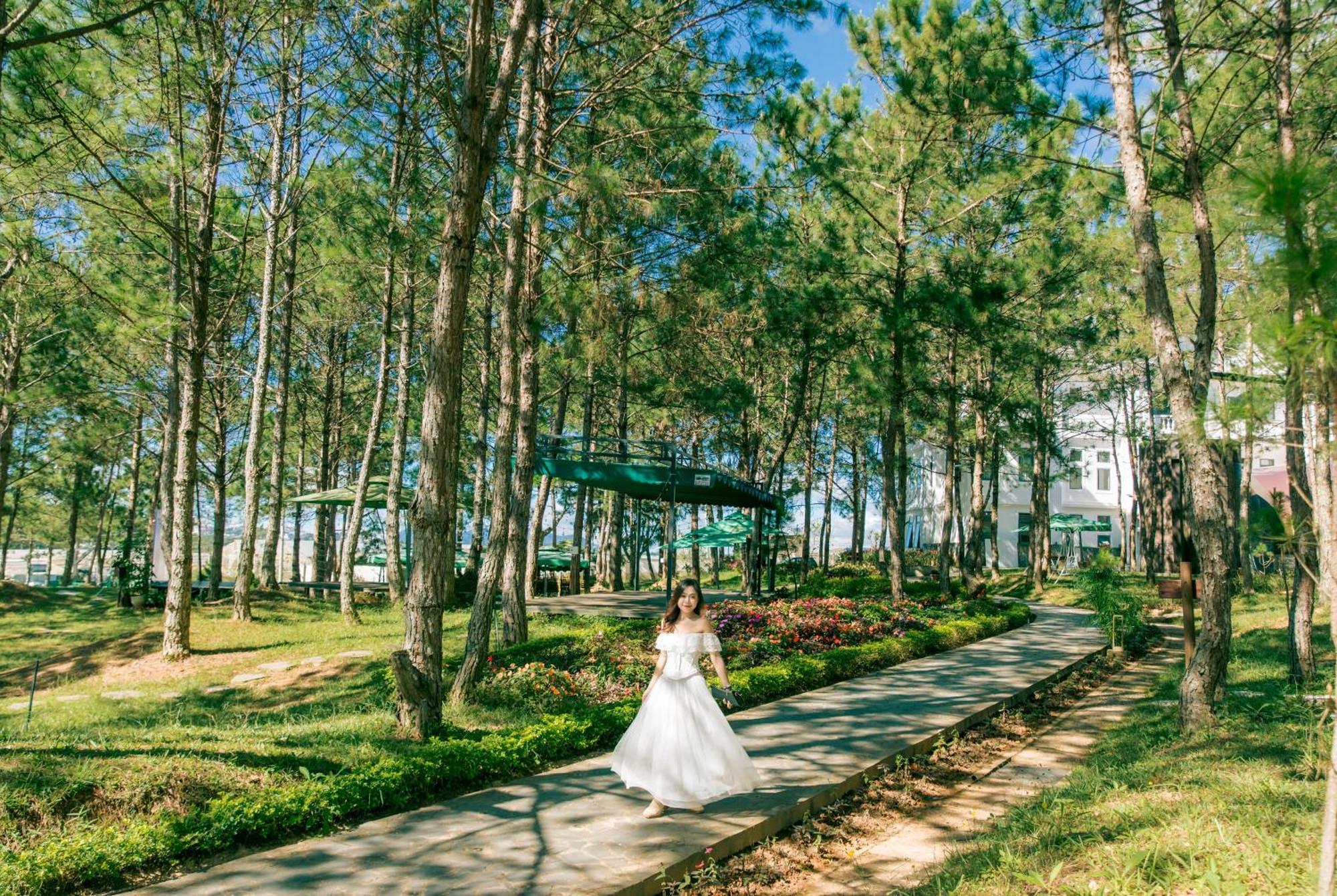 Kim Resort - Khu Nghi Duong Rung La Kim ダラット エクステリア 写真